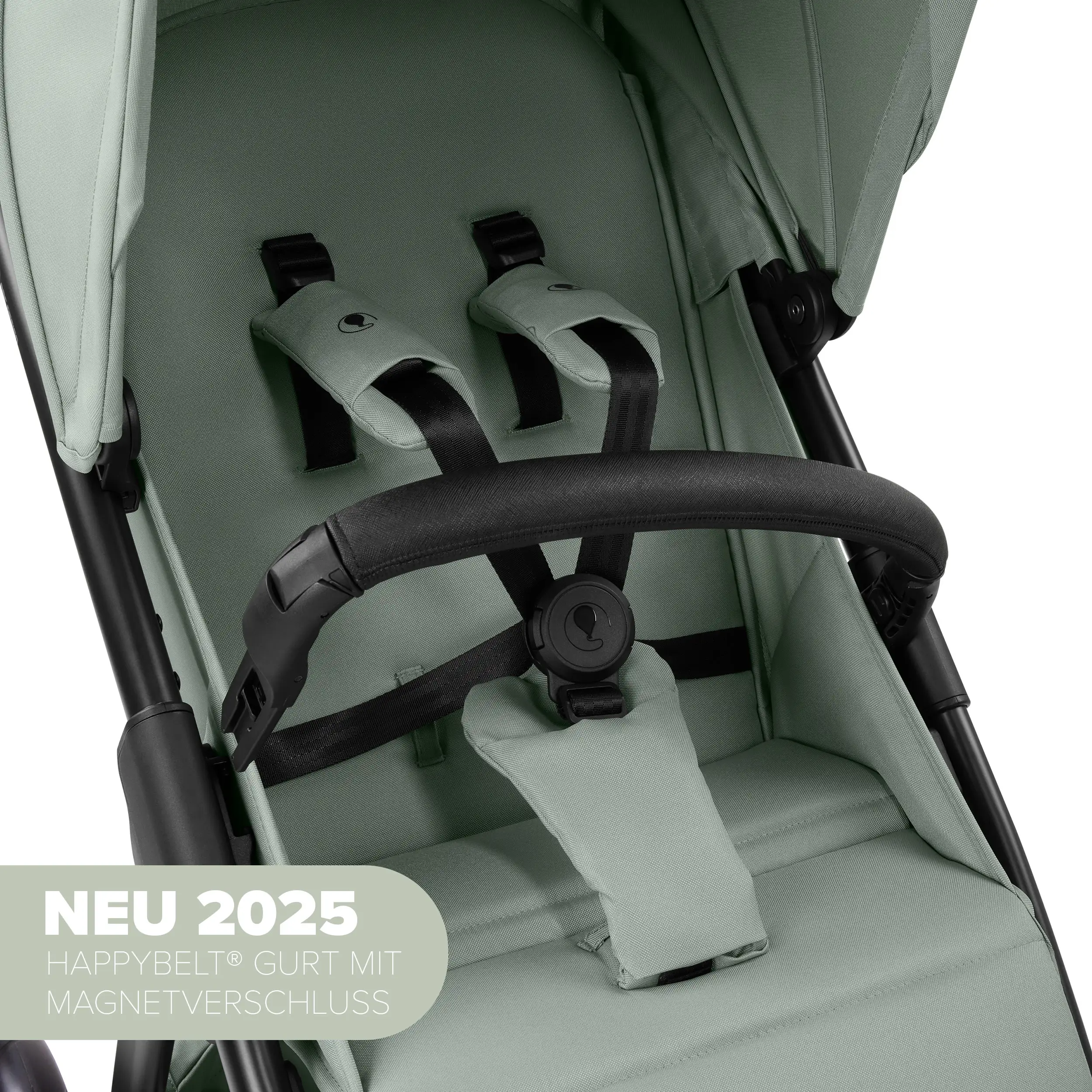 Buggy Avus 2 - Pine Buggy Avus 2 - Pine