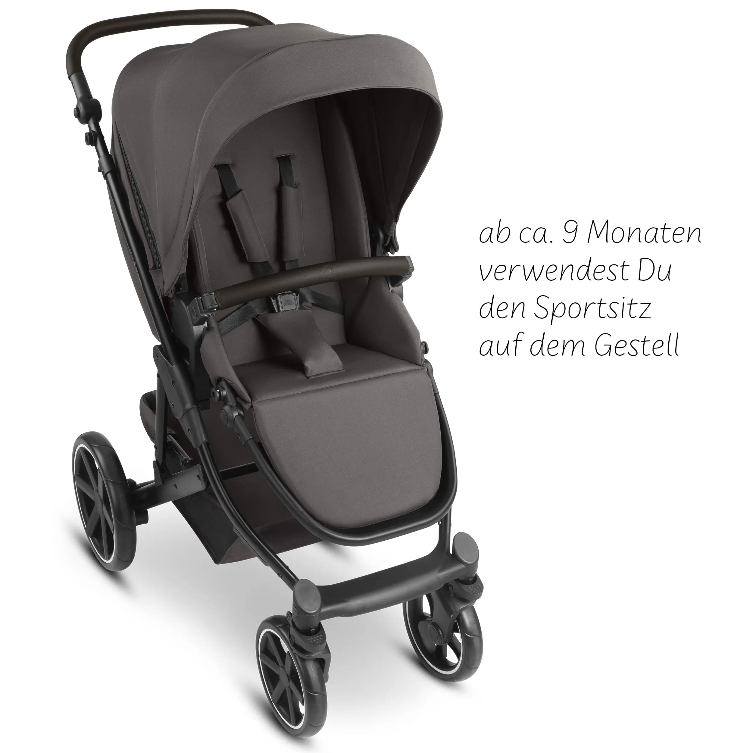4in1-Kinderwagen-Set Sierra inkl. Isofix Base - Nut