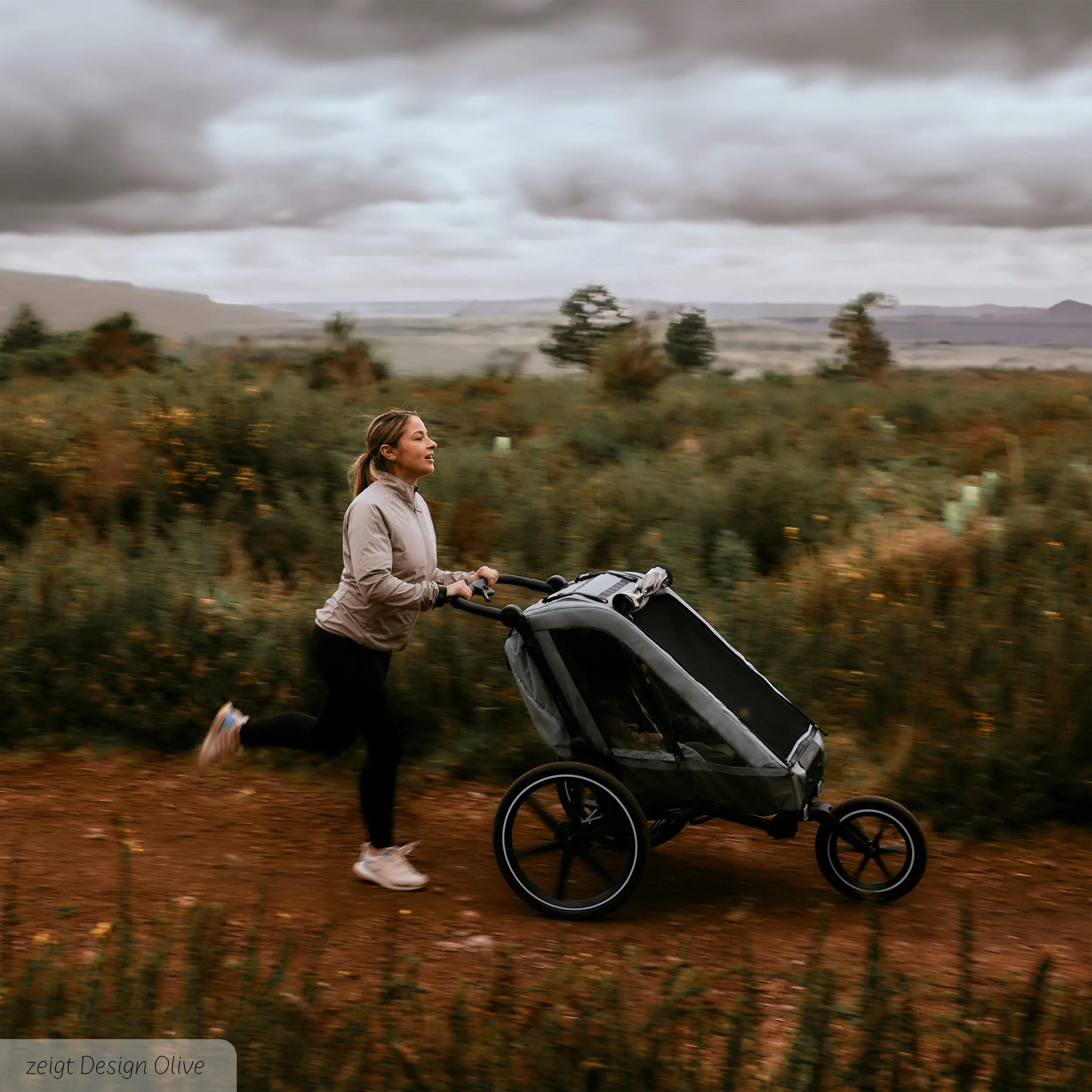 Remolque de Bicicleta de Paseo con 2 Asientos Confortables y Ruedas de Aire - Ink  Remolque de Bicicleta de Paseo con 2 Asientos Confortables y Ruedas de Aire - Ink