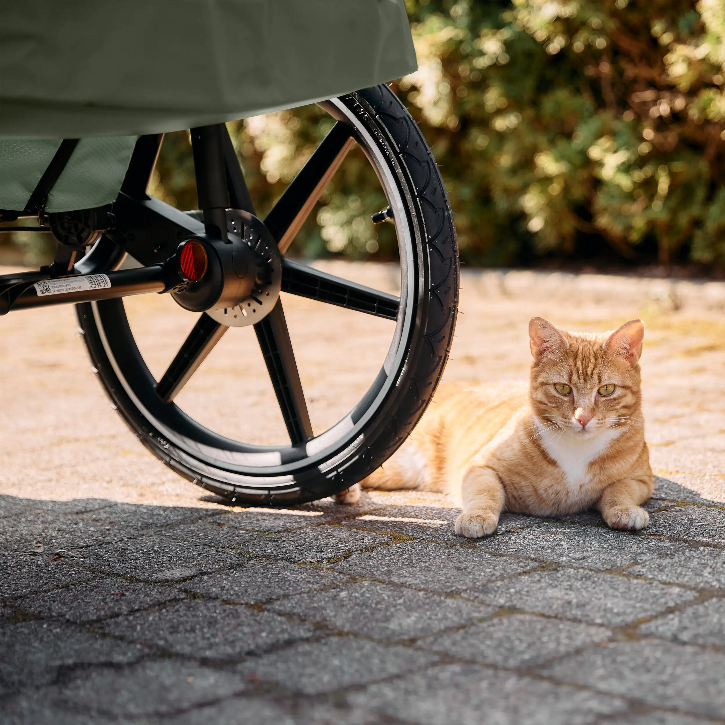 Fahrradanhänger Tour 2 mit 2 Komfortsitzen & Lufträdern - Olive