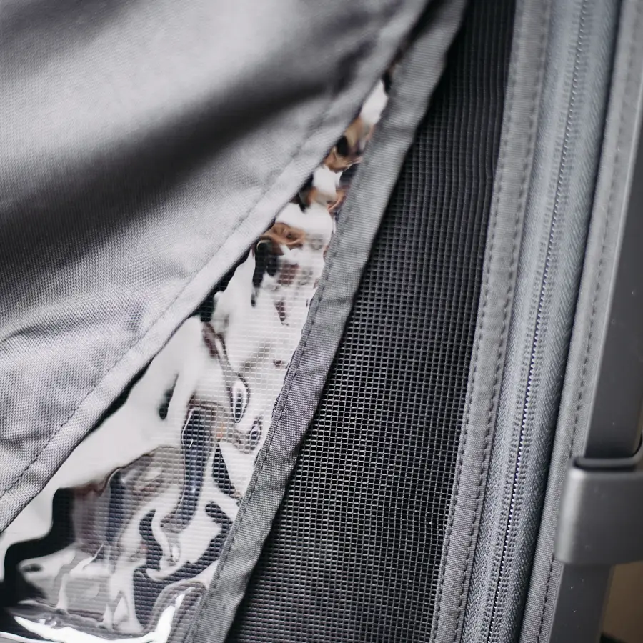 Fahrradanhaenger-Vergleich-Thule-ChariotSport2-18 Fahrradanhaenger-Vergleich-Thule-ChariotSport2-18