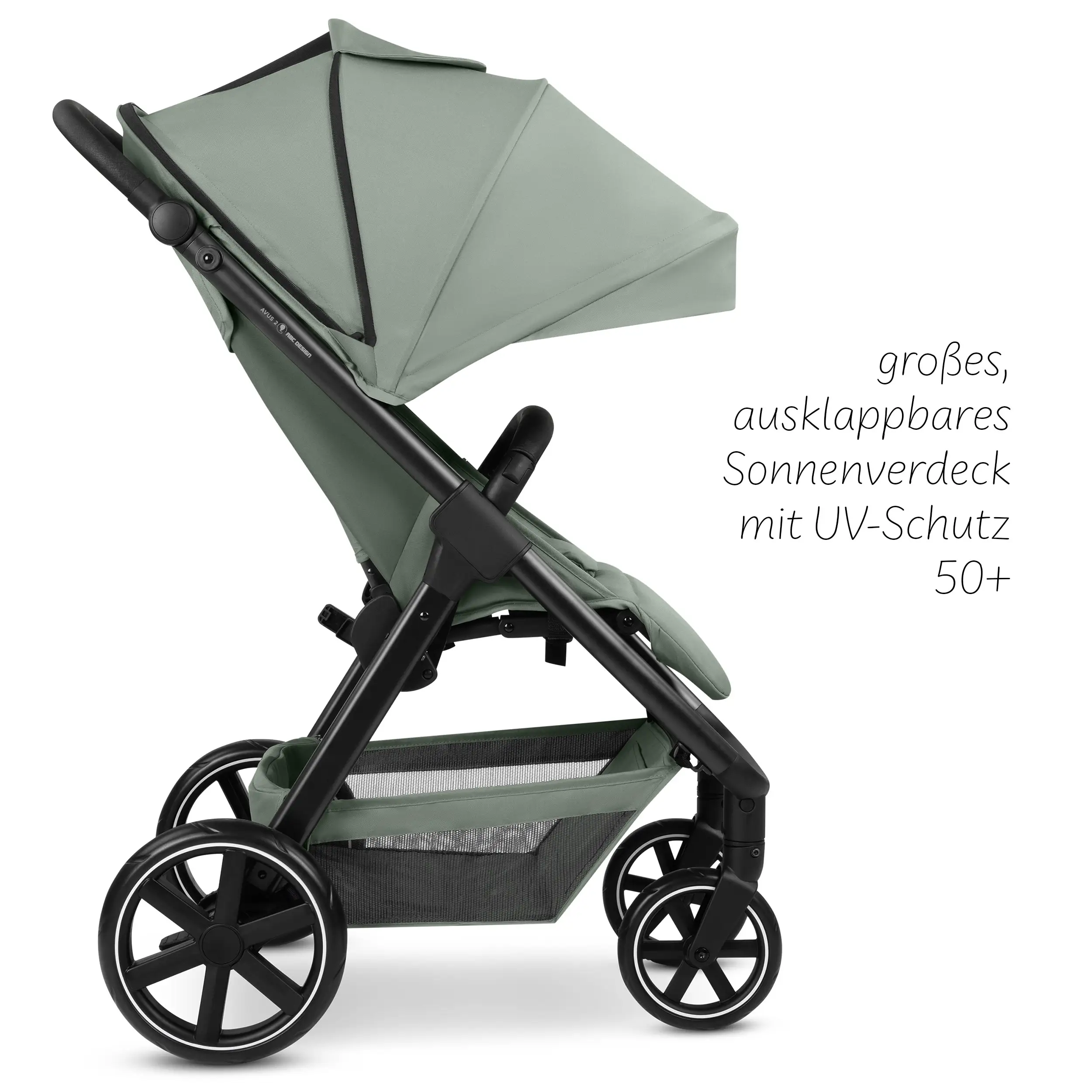 Buggy Avus 2 - Pine Buggy Avus 2 - Pine