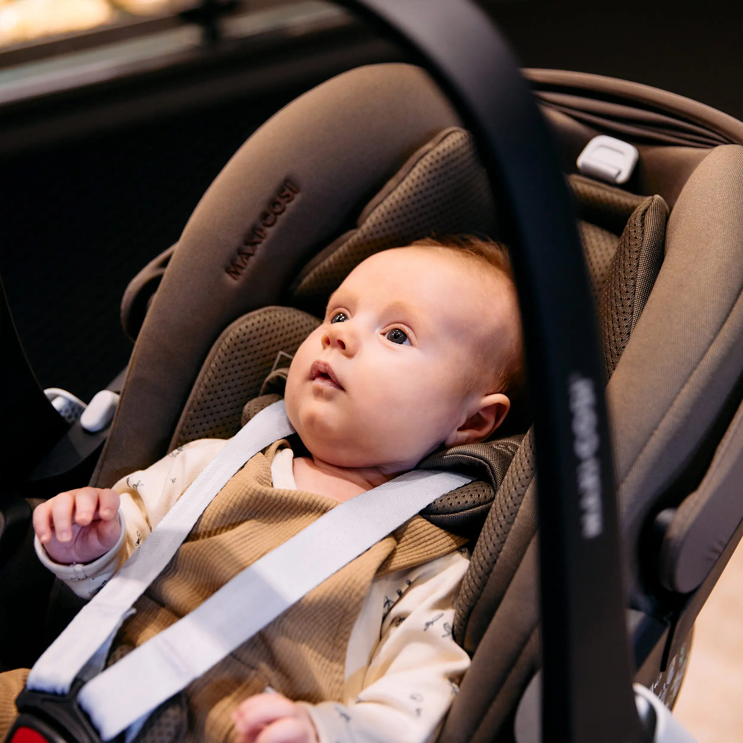 3in1 Kinderwagen-Set Samba 2 inkl. Babyschale Maxi Cosi Pebble 360 Pro 2 - Nature 3in1 Kinderwagen-Set Samba 2 inkl. Babyschale Maxi Cosi Pebble 360 Pro 2 - Nature
