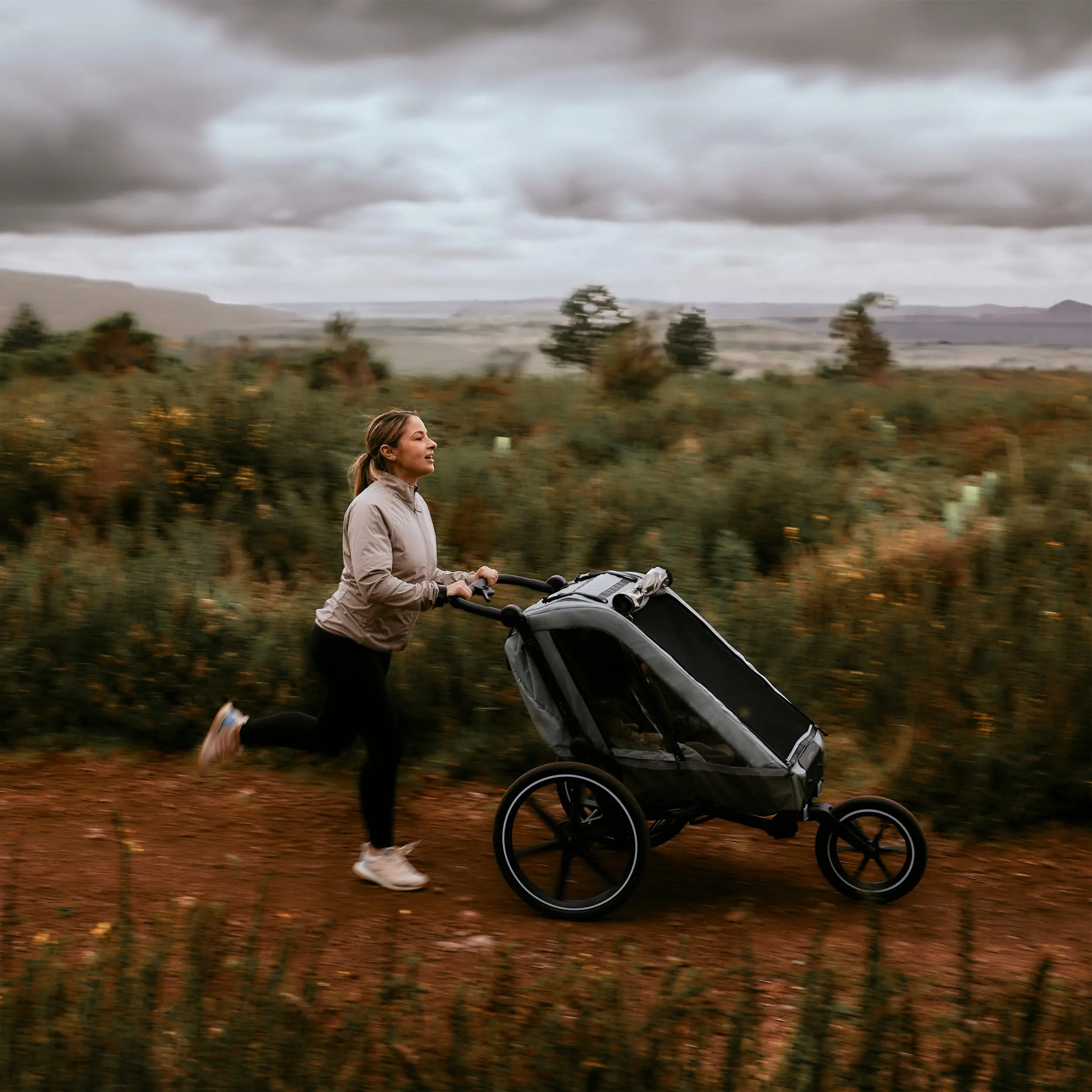 Bicycle Trailer Tour with 2 Comfort Seats Air Wheels Olive