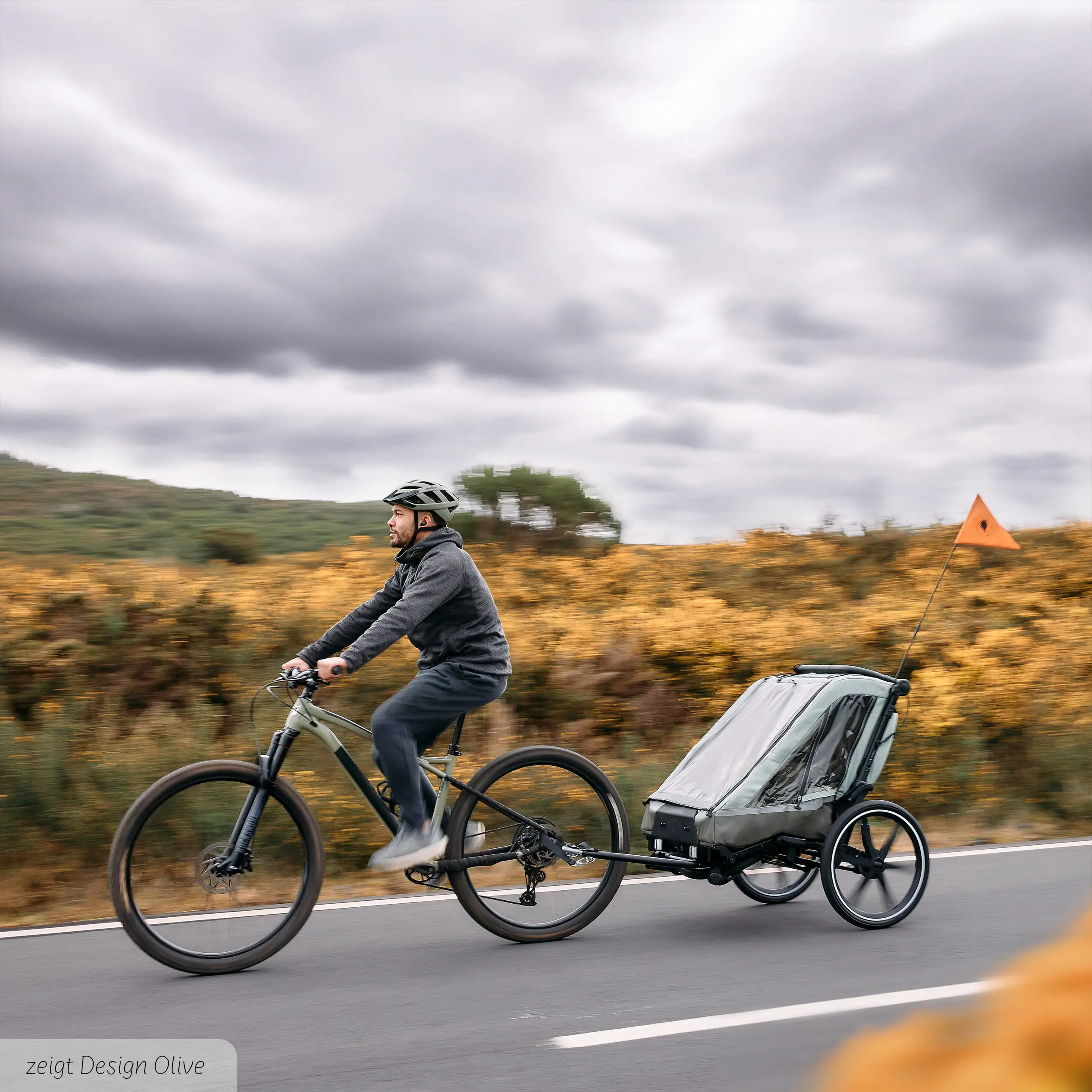 Remolque de Bicicleta de Paseo con 2 Asientos Confortables y Ruedas de Aire - Ink  Remolque de Bicicleta de Paseo con 2 Asientos Confortables y Ruedas de Aire - Ink