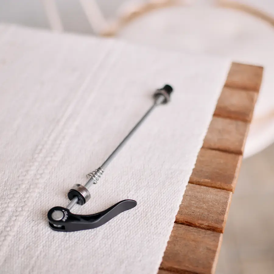 Fahrradanhaenger-Vergleich-Thule-ChariotSport2-01 Fahrradanhaenger-Vergleich-Thule-ChariotSport2-01