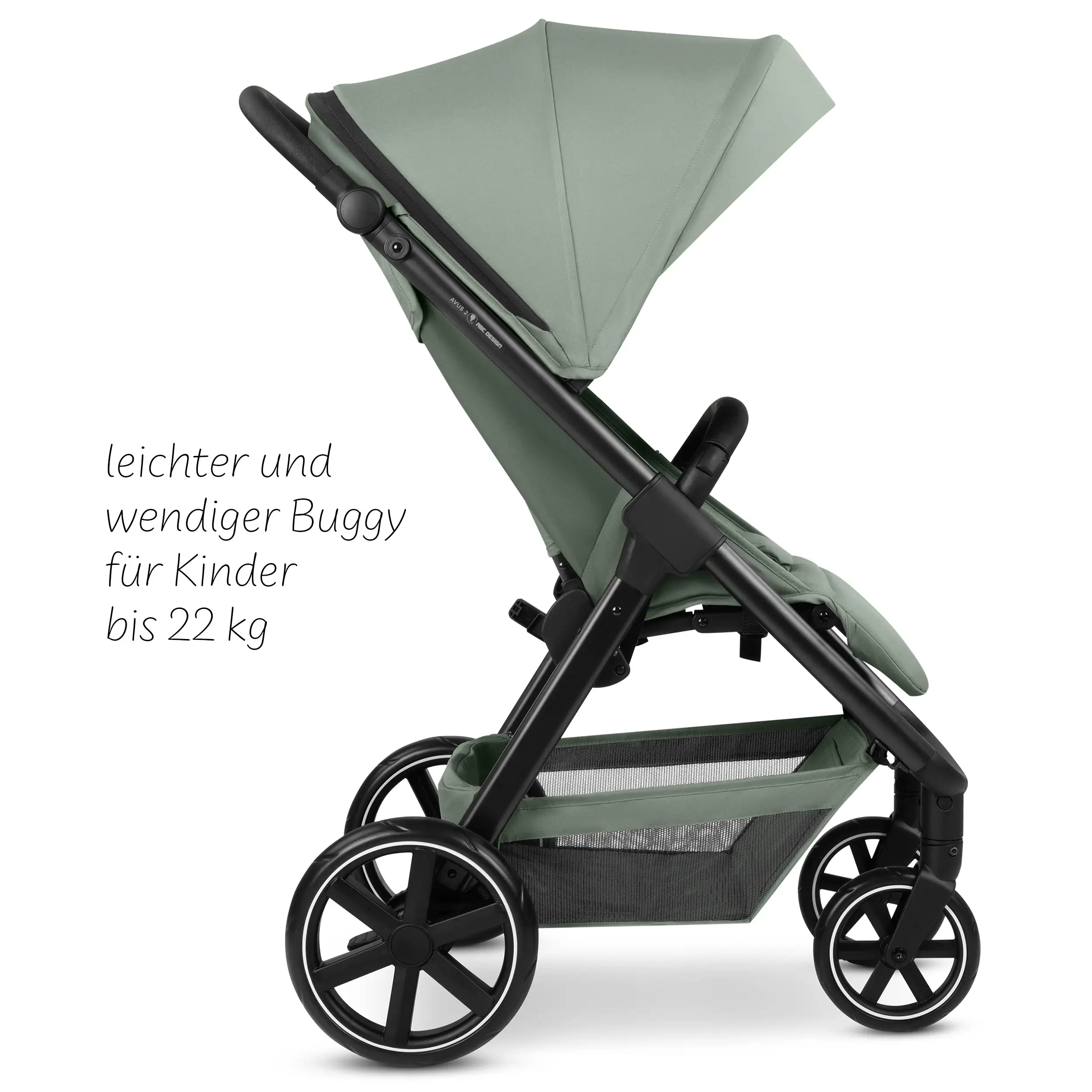 Buggy Avus 2 - Pine Buggy Avus 2 - Pine