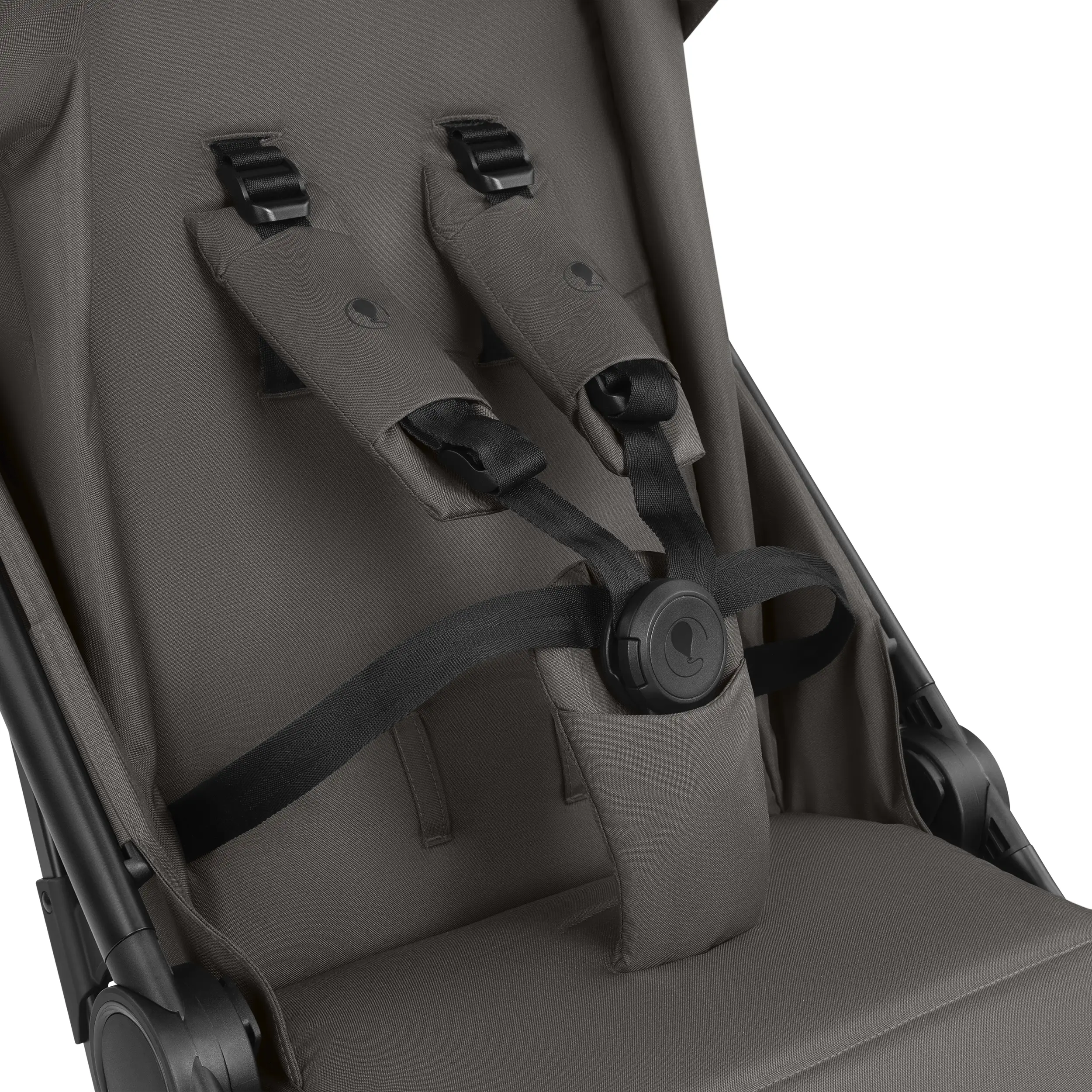 Buggy Avus 3 - Nut