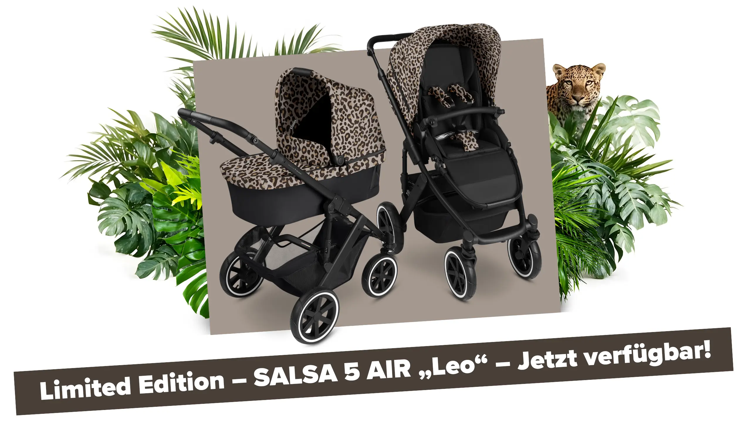 Salsa 5 Air Leo