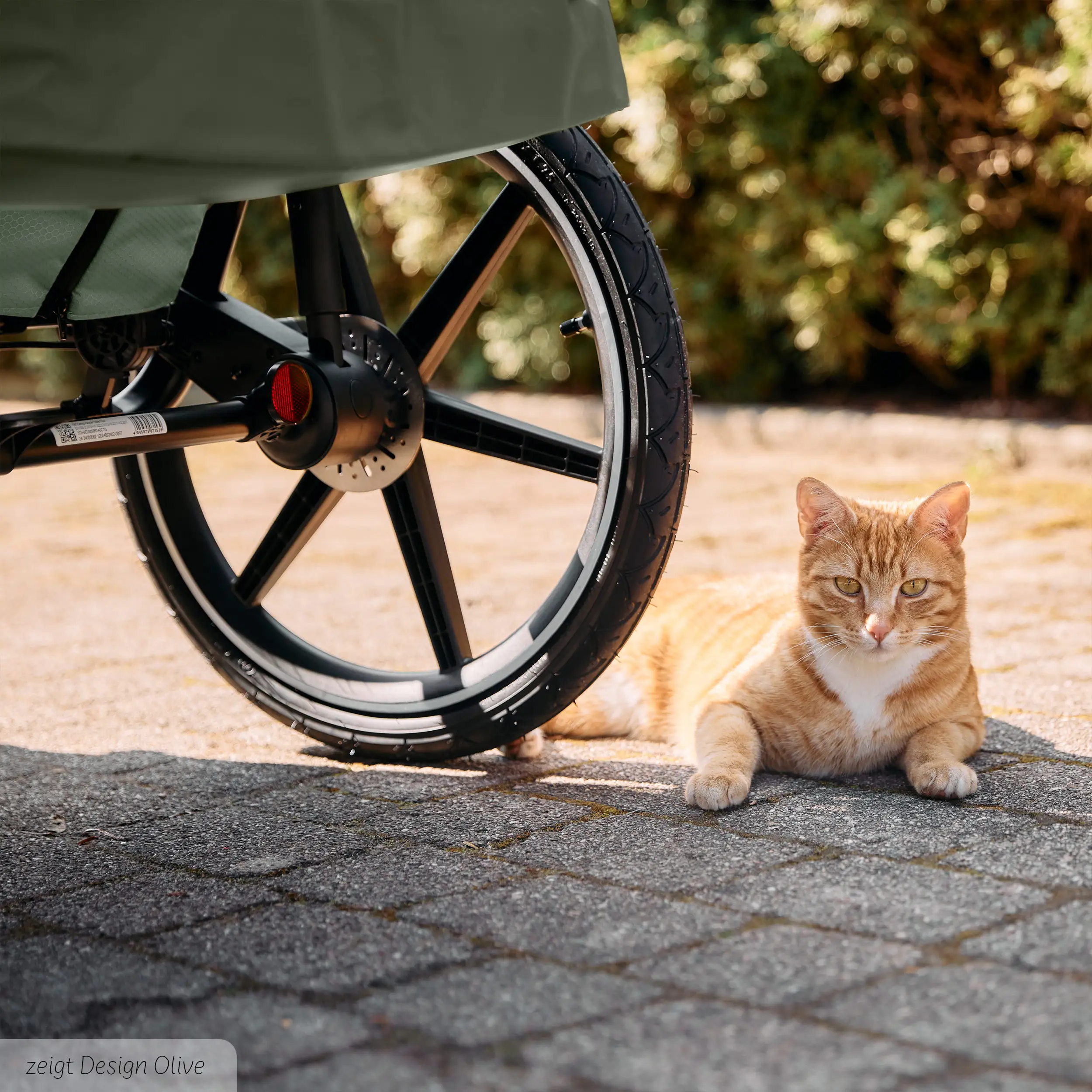 Fahrradanhänger Tour 2 mit 2 Komfortsitzen & Lufträdern - Falcon