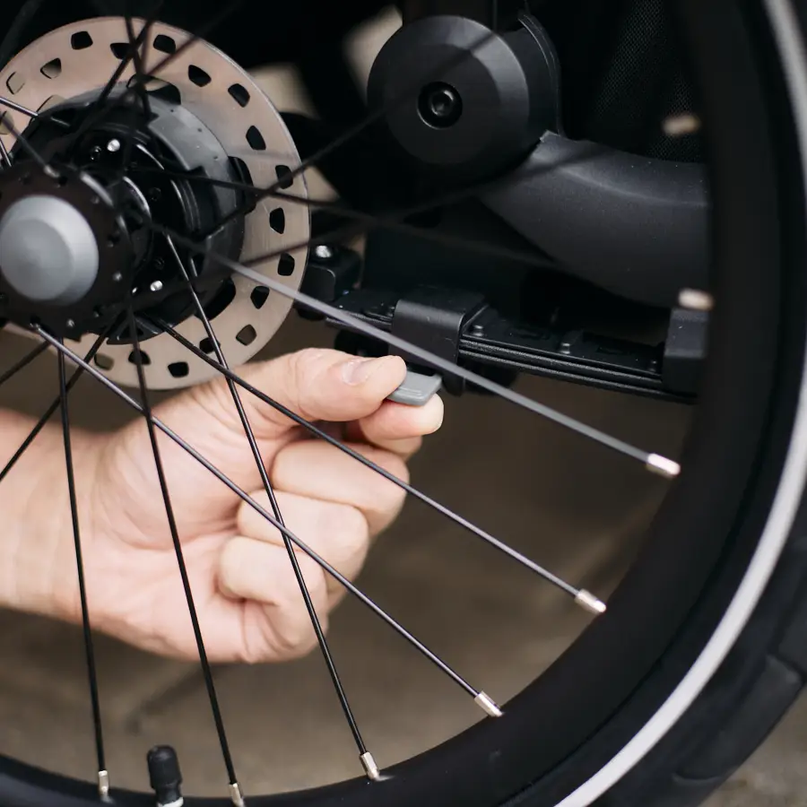 Fahrradanhaenger-Vergleich-Thule-ChariotSport2-15 Fahrradanhaenger-Vergleich-Thule-ChariotSport2-15