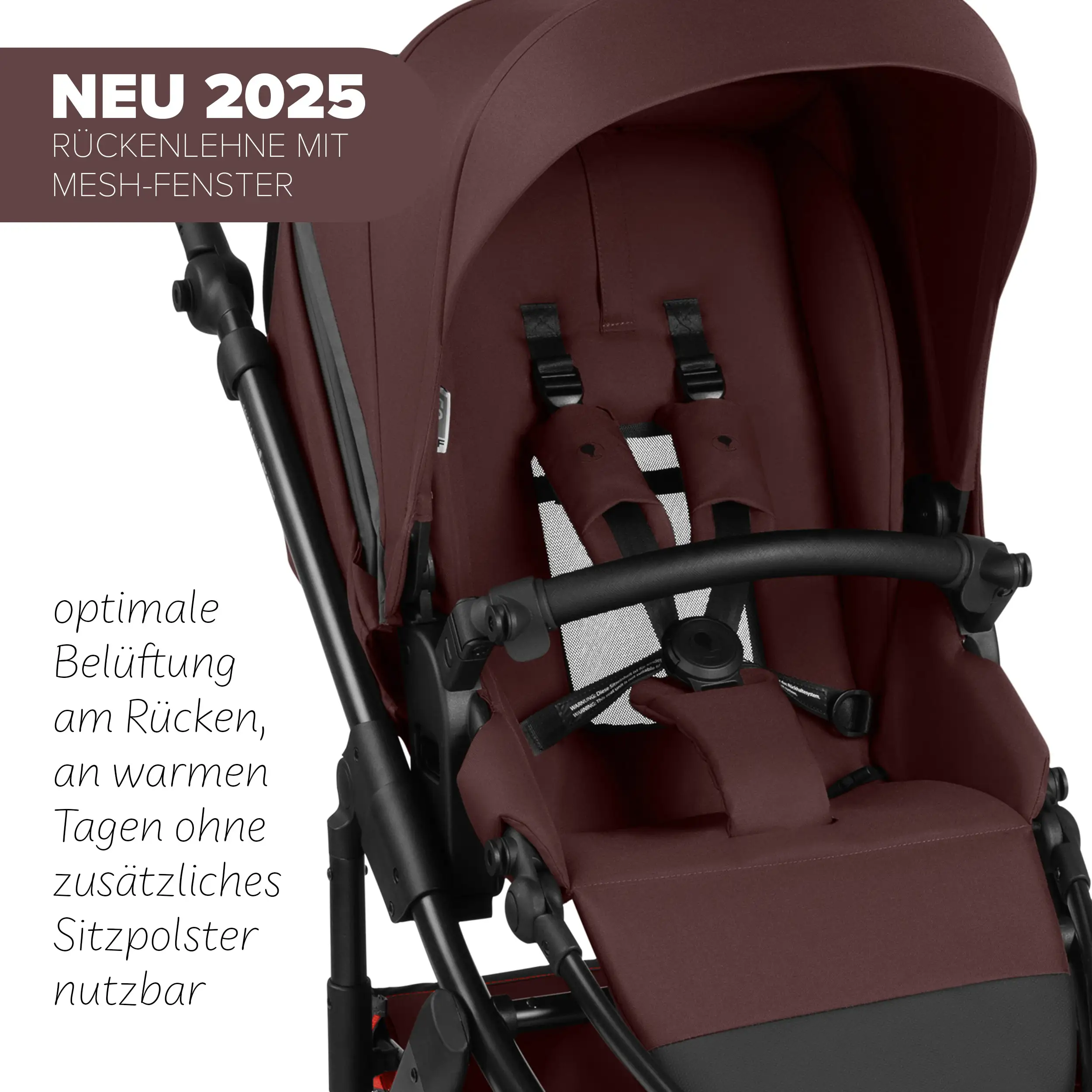 Jogger Salsa 5 Run - Umbra Jogger Salsa 5 Run - Umbra