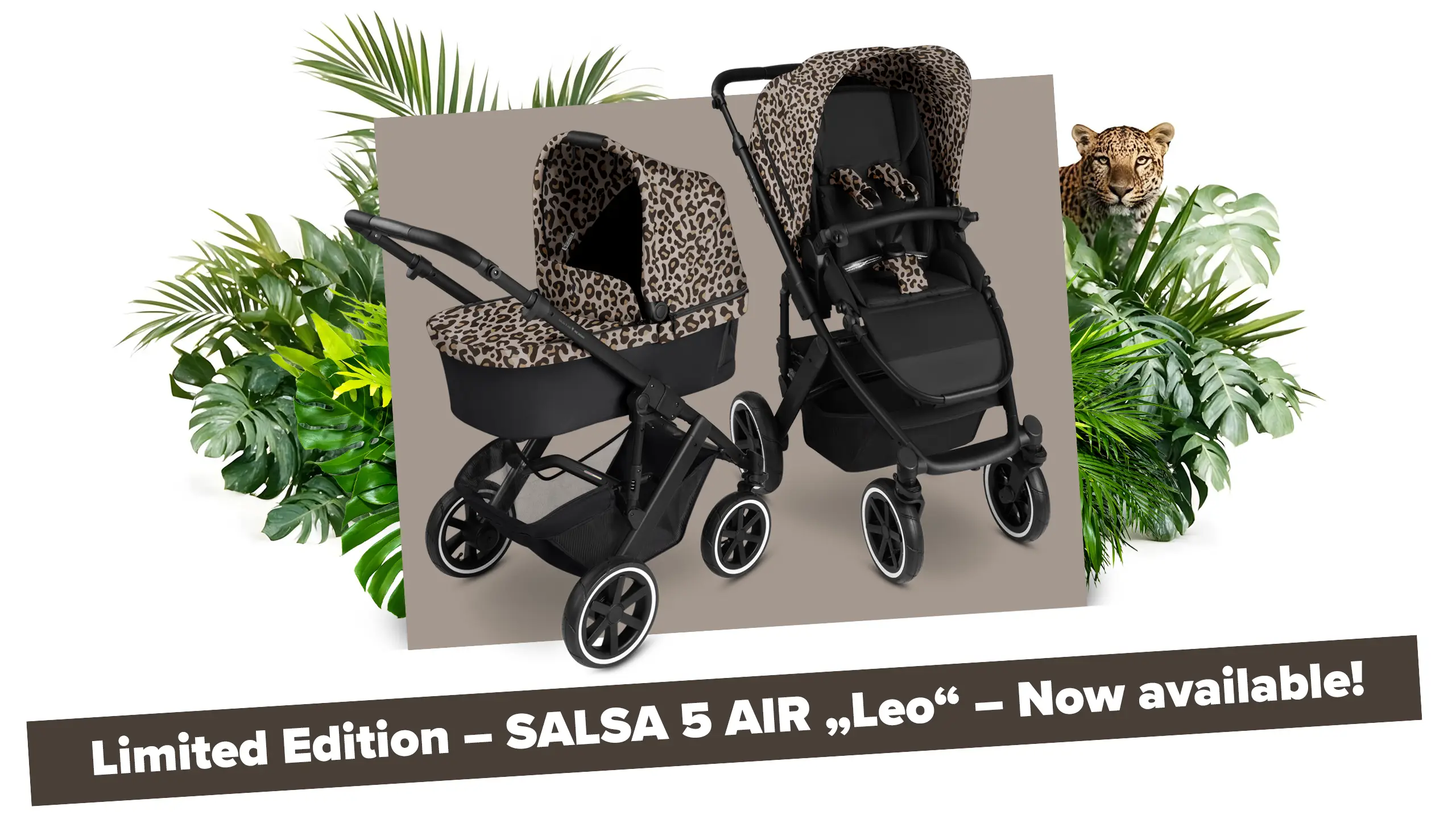 Salsa 5 Air Leo