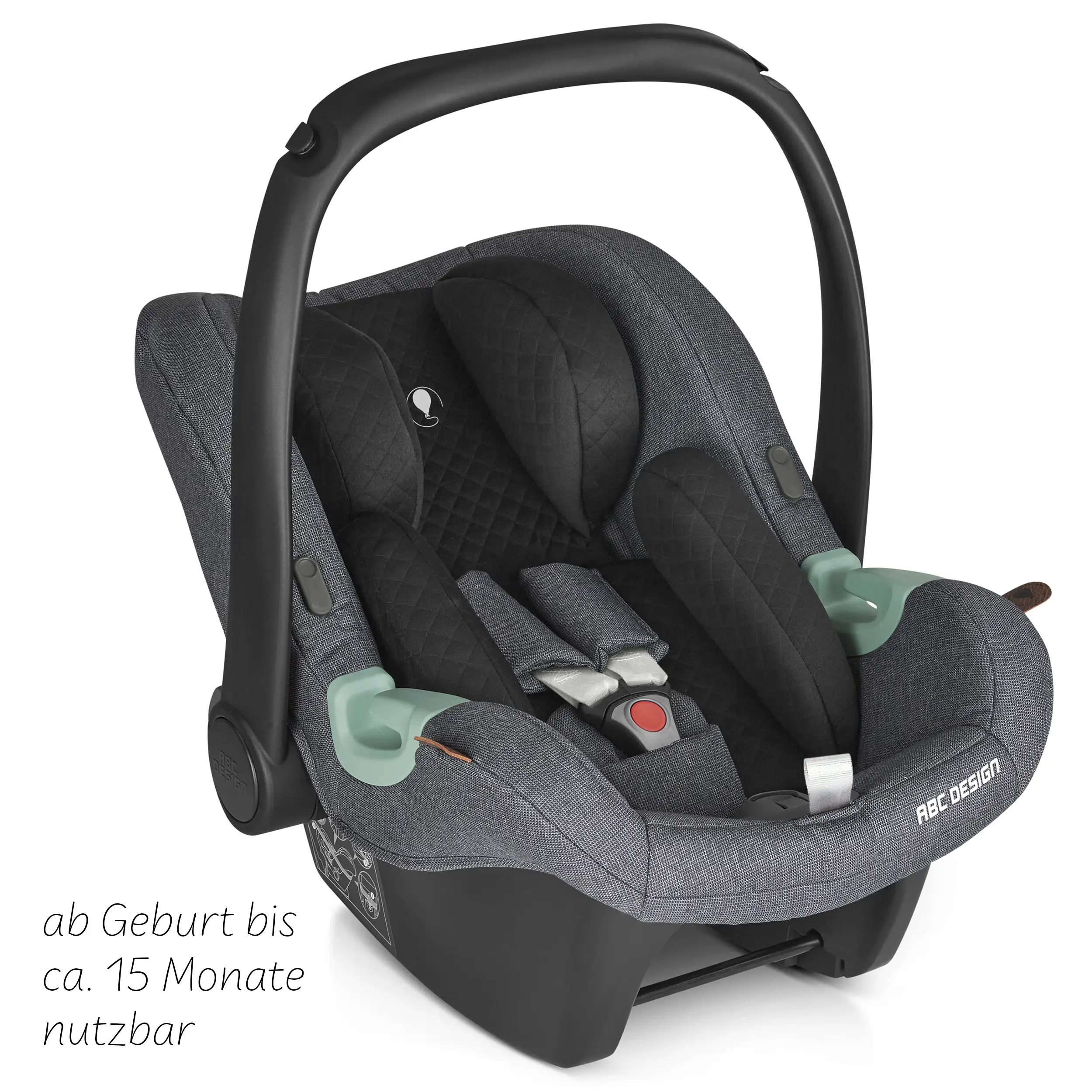 Bike trailer for infant car seat shop